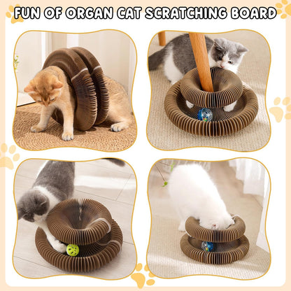 ScratchAway Kitty Board